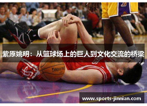 紫原姚明：从篮球场上的巨人到文化交流的桥梁